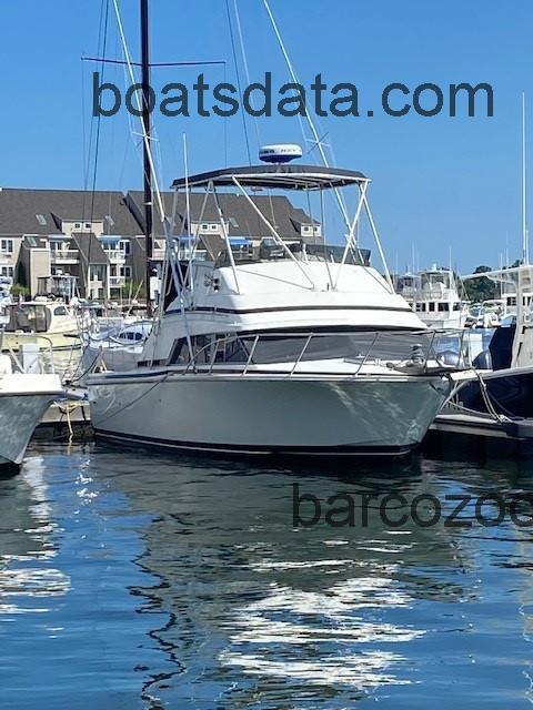 Bertram 30 Flybridge Cruiser opinión y ficha técnica