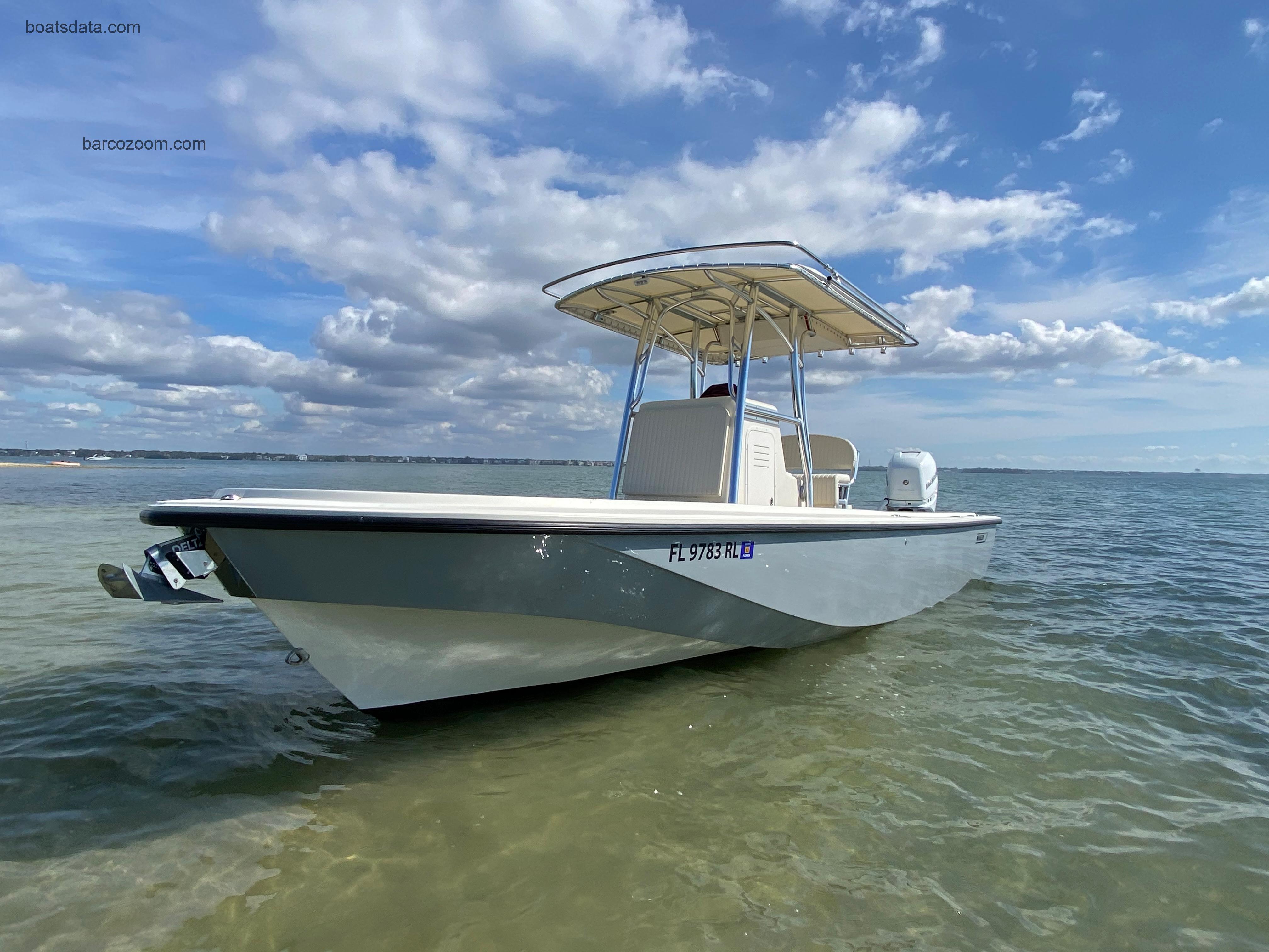 Boston Whaler 250 Outrage ficha tecnica 