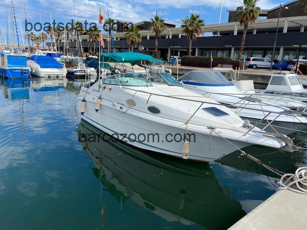 Cruisers Rogue ficha tecnica 