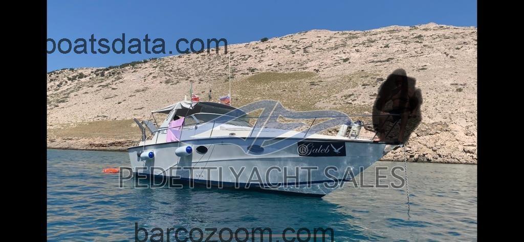 Fiart Aster 31 opinión y ficha técnica