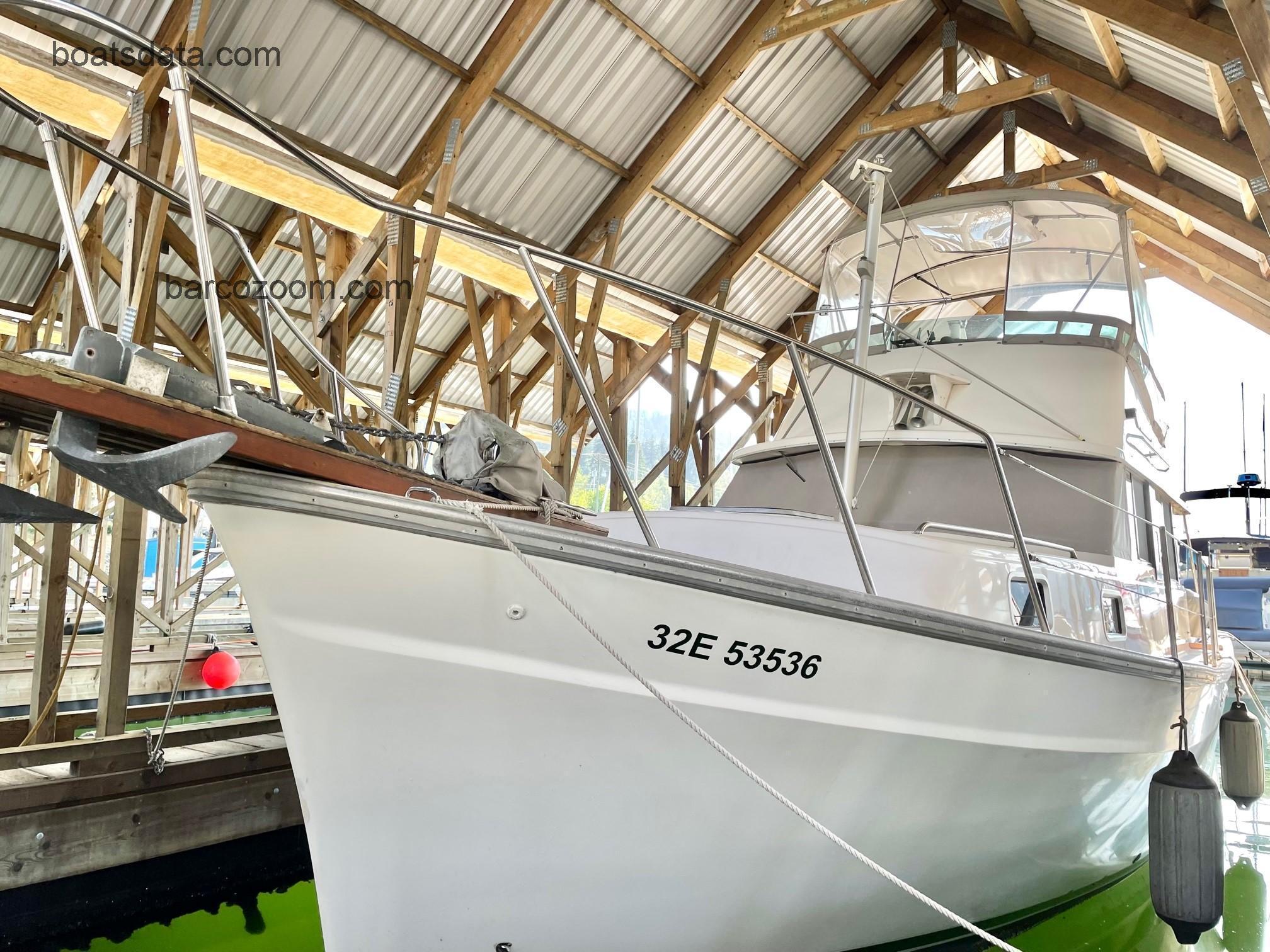 Mainship 34 Trawler opinión y ficha técnica