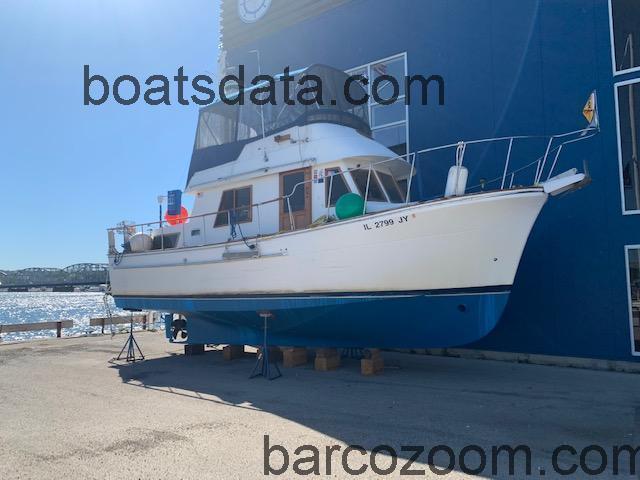 Marine Trader 34 Double Cabin opinión y ficha técnica