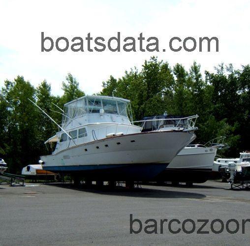 Norseman Sportfish opinión y ficha técnica