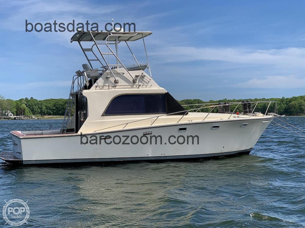 Pacemaker 36 opinión y ficha técnica