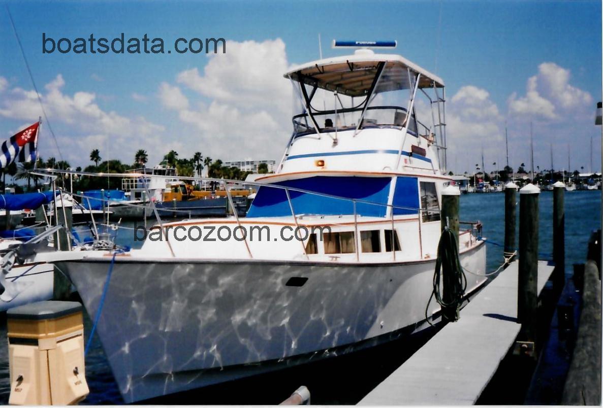 Roughwater 37 opinión y ficha técnica