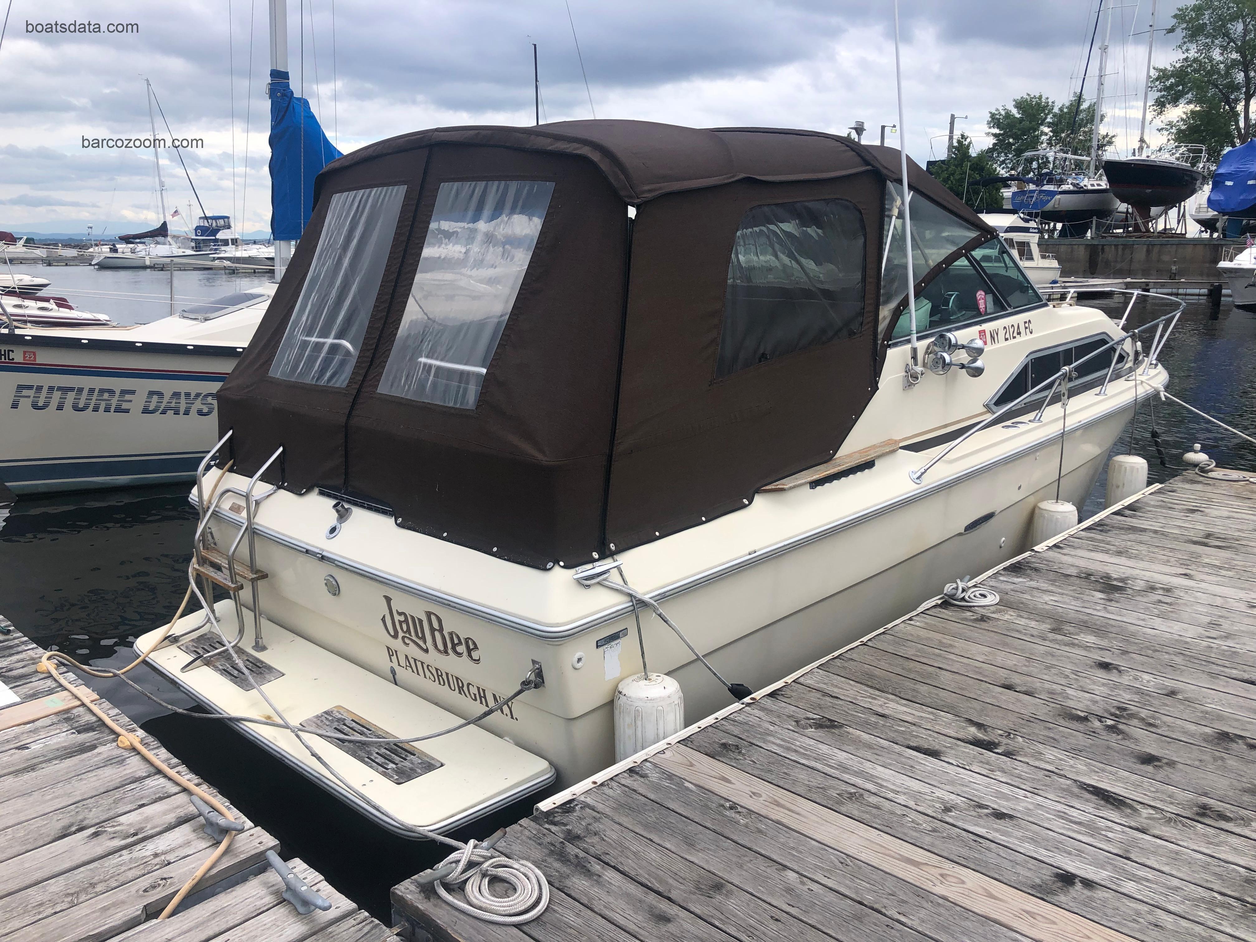 Sea Ray 245 opinión y ficha técnica