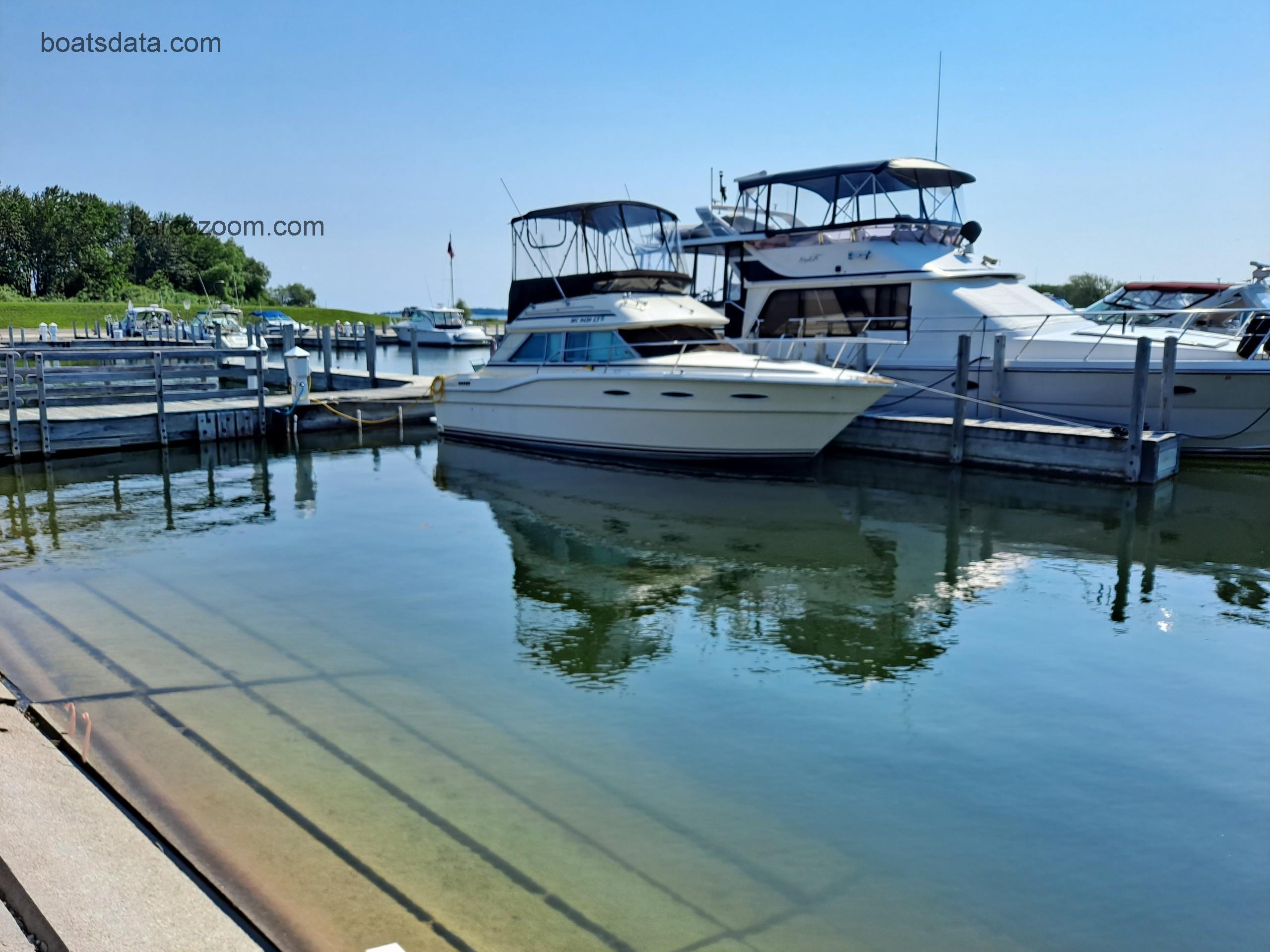 Sea Ray 300 Sedan Bridge opinión y ficha técnica