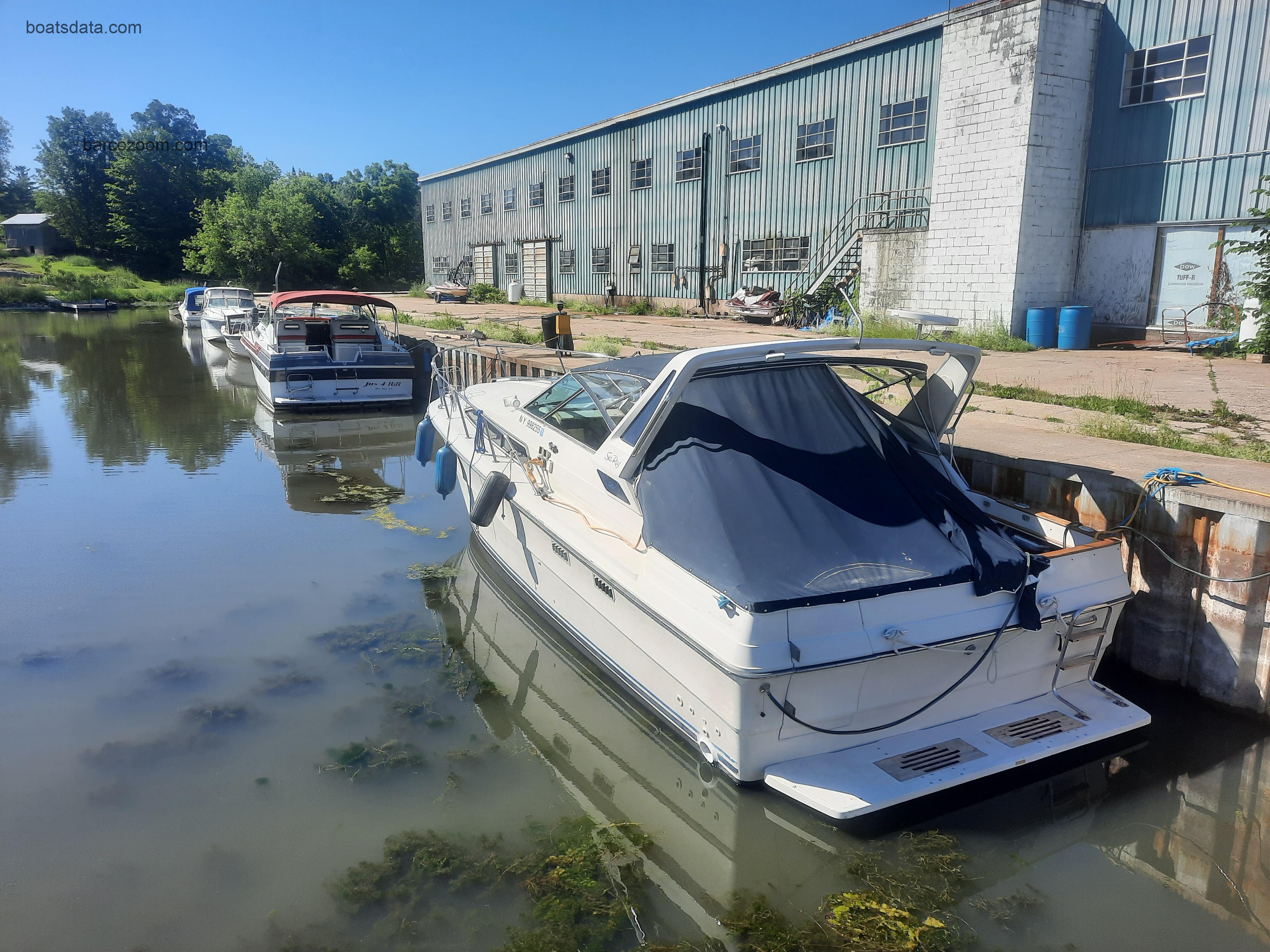 Sea Ray 340 Express Cruiser opinión y ficha técnica