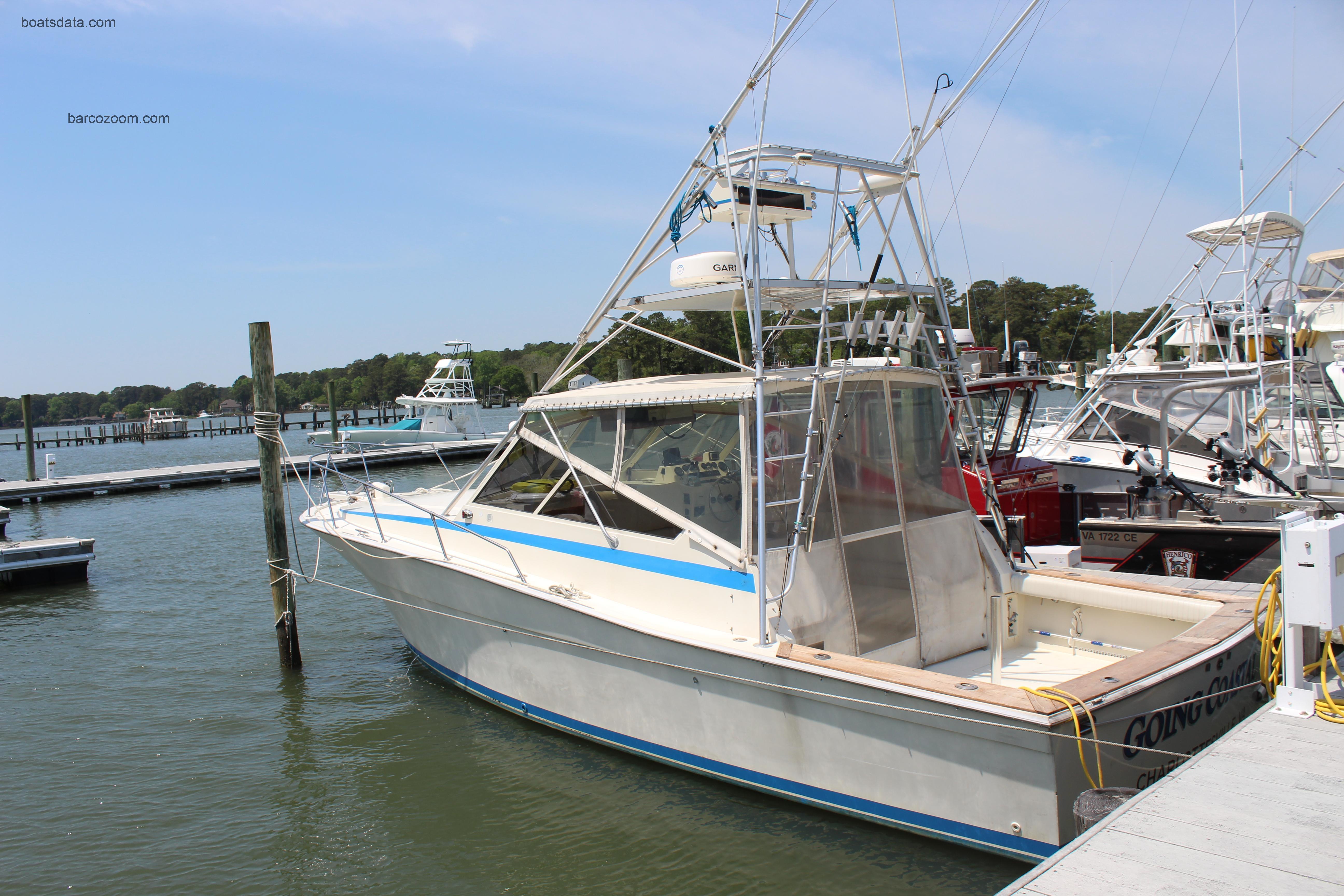 Viking 35 Express opinión y ficha técnica