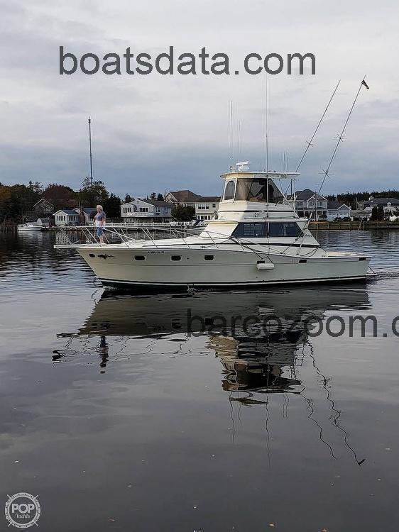 Viking 40 opinión y ficha técnica