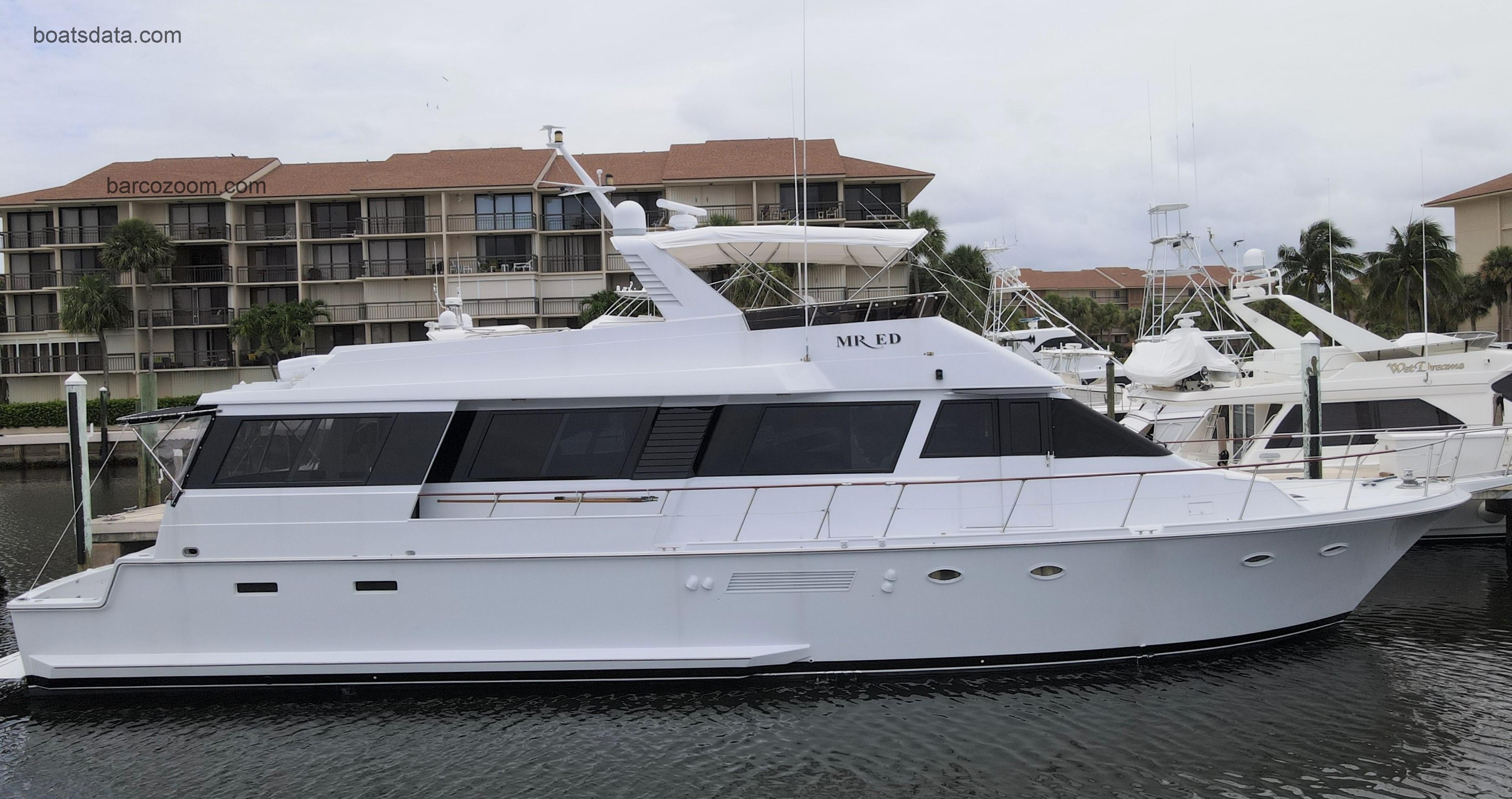 Viking Cockpit Motor Yacht opinión y ficha técnica