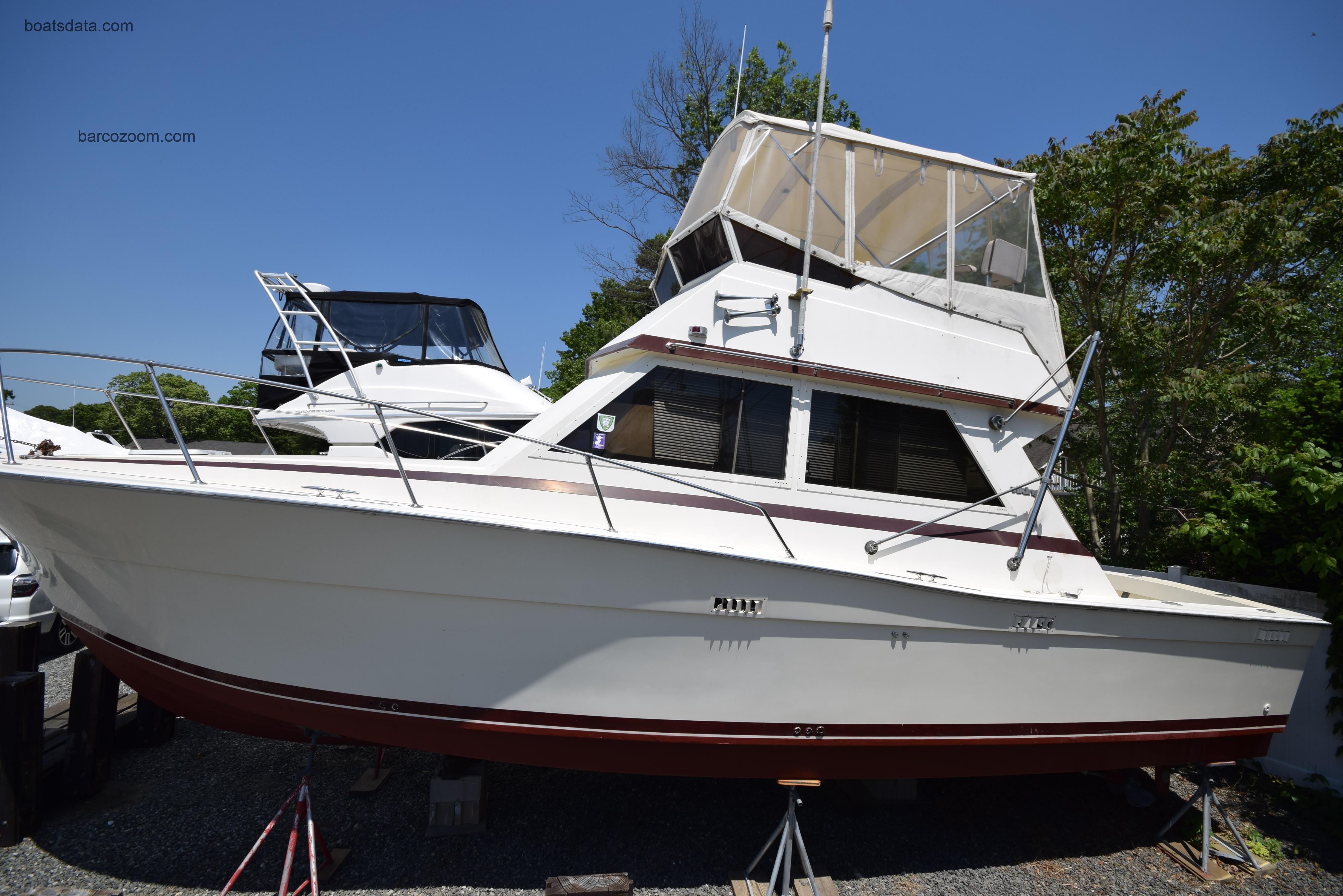 Viking Convertible opinión y ficha técnica