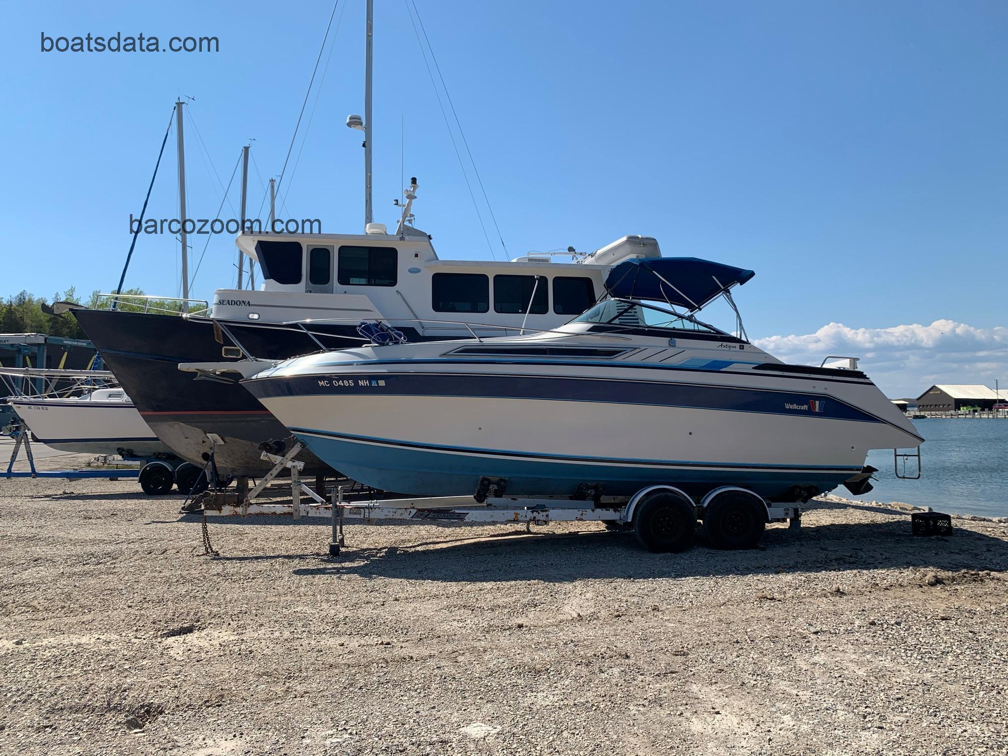 Wellcraft Antigua 26 opinión y ficha técnica