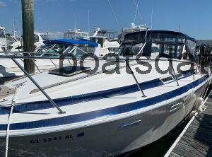 Wellcraft Suncruiser 310 opinión y ficha técnica